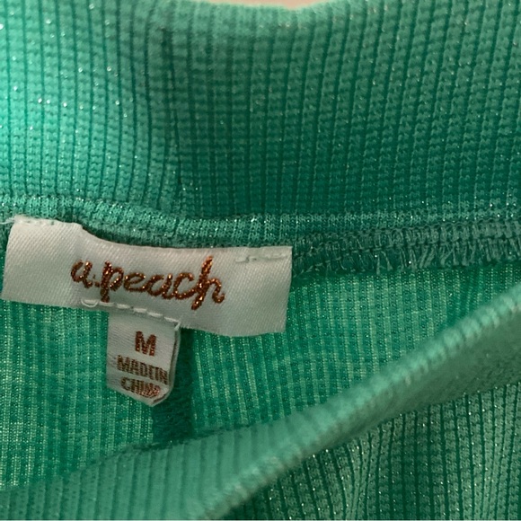 Peach Netta Shimmer High Waist Wide Leg Pants Women’s Size Medium- Green - Picture 7 of 10